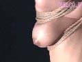 Sample 14