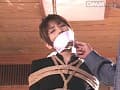Sample 13