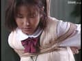 Sample 11