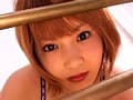 Sample 12