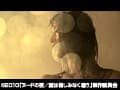 Sample 4
