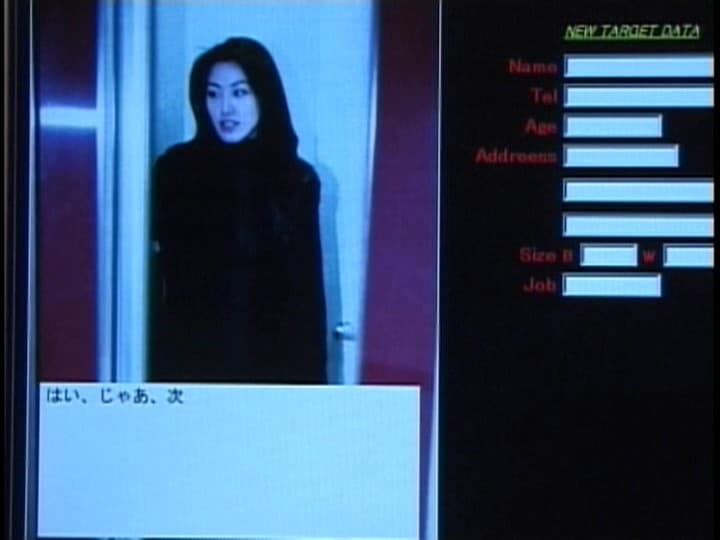 Sample 13