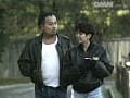 Sample 31
