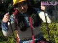 Sample 2