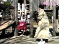 Sample 3