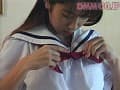 Sample 4