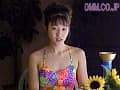 Sample 27