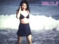 Sample 13