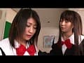 Sample 31
