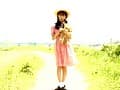 Sample 33