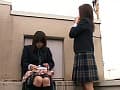 Sample 3