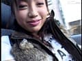 Sample 4