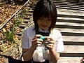 Sample 1