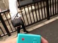 Sample 8