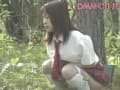 Sample 17