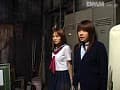 Sample 23
