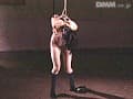 Sample 29