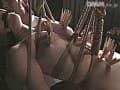 Sample 38