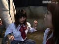 Sample 35