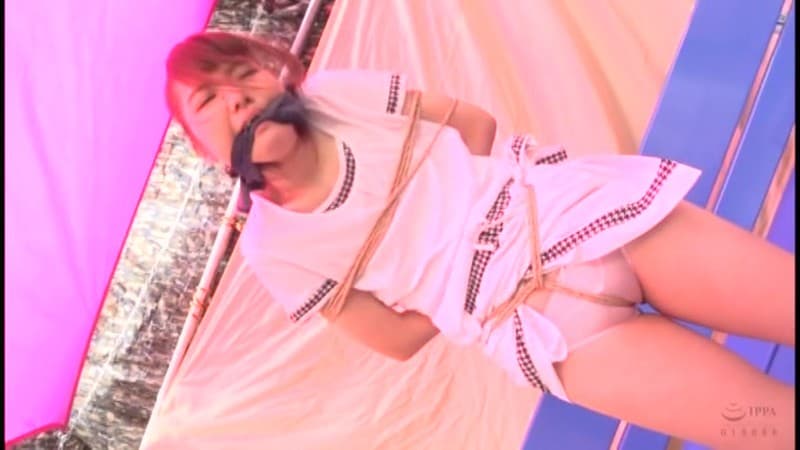 Sample 17