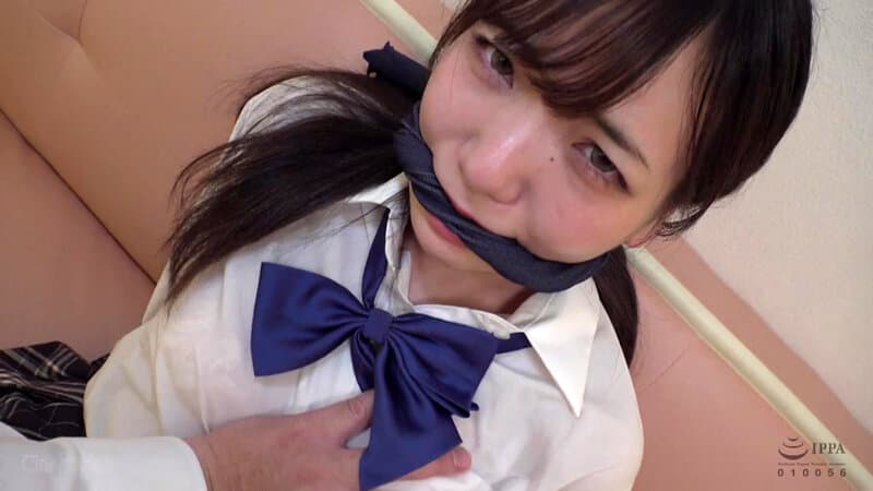 Sample 11