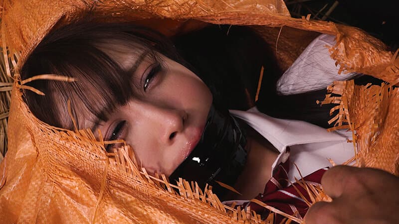 Sample 3