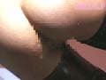Sample 16