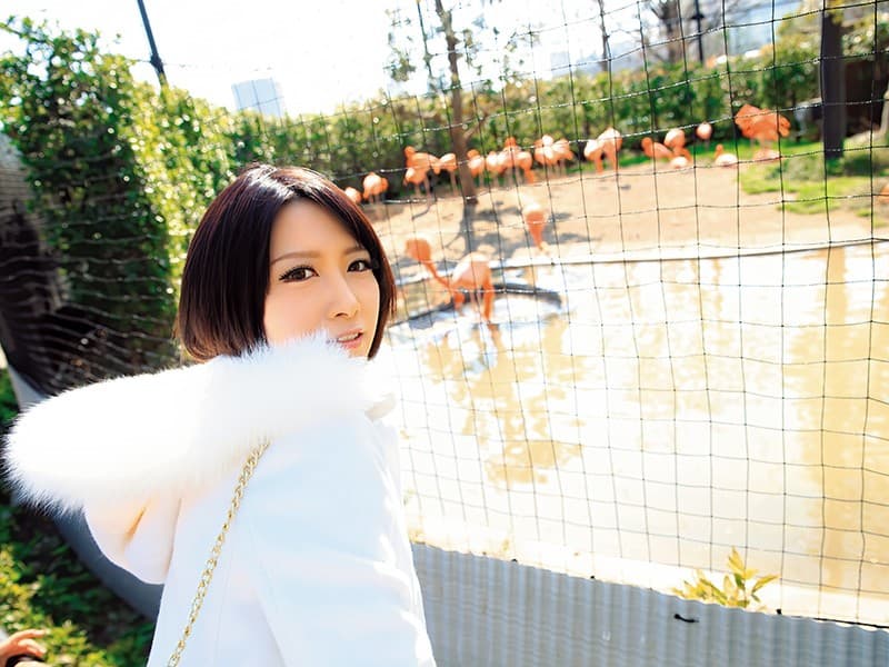 Sample 10