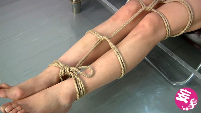 Sample 8