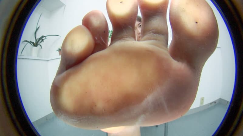 Sample 7