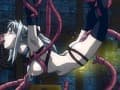 Sample 37