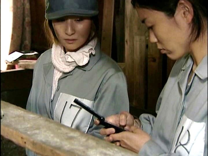 Sample 14