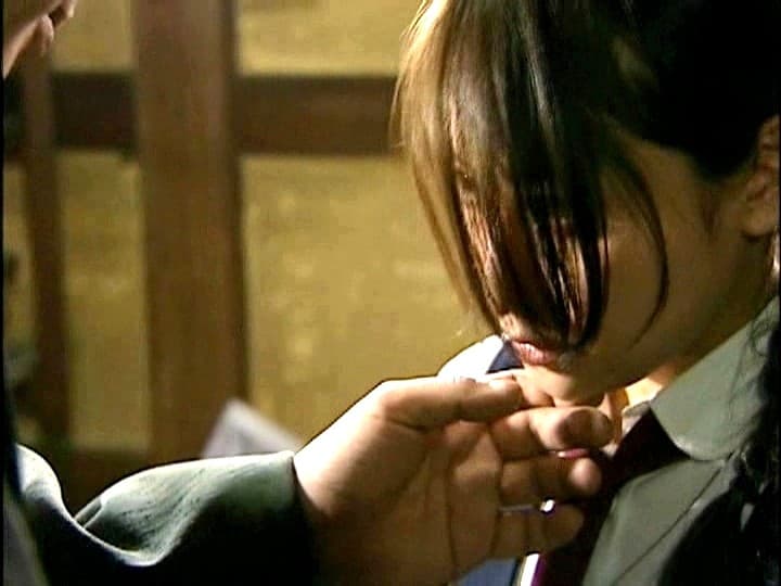 Sample 13
