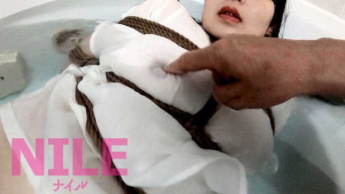 Sample 13