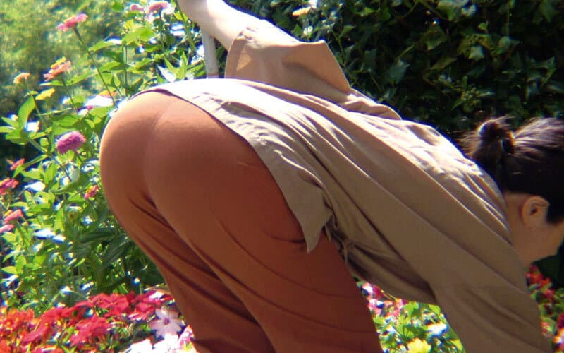 Sample 19