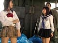 Sample 7
