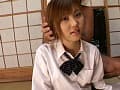 Sample 13