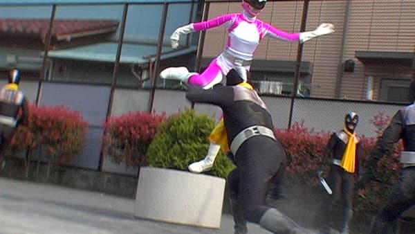 Sample 5