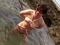 Sample 40