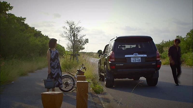 Sample 8