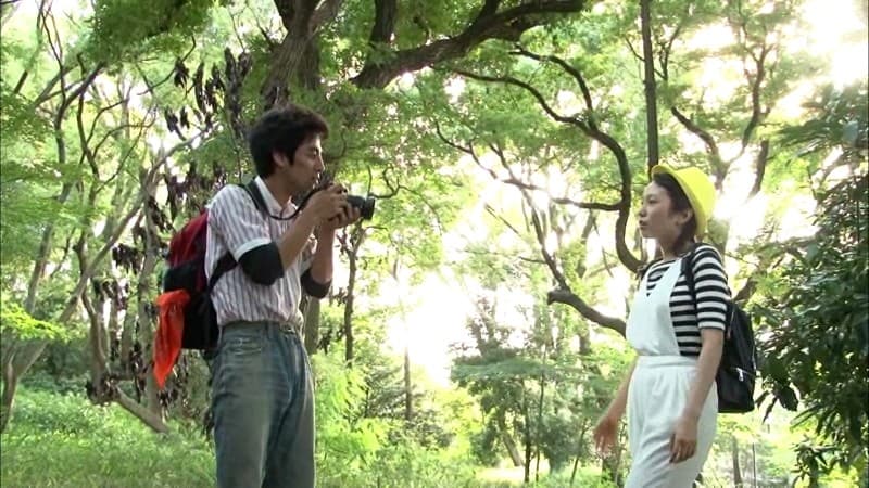 Sample 4