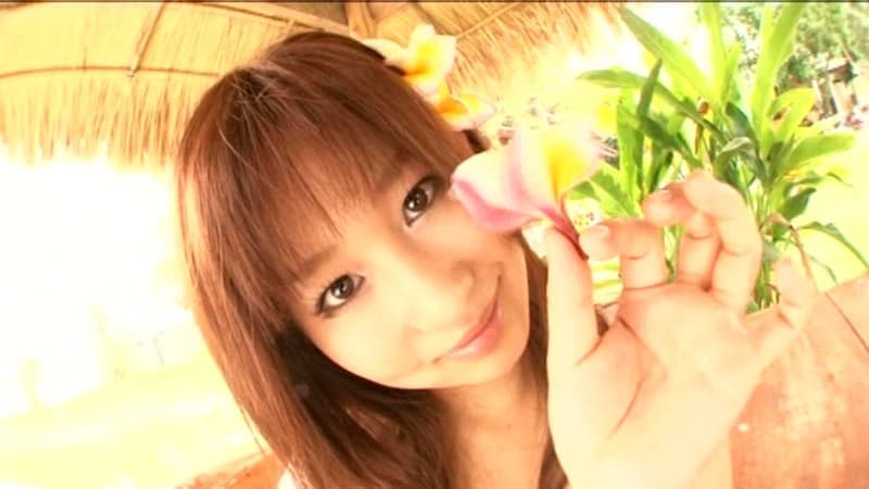 Sample 4