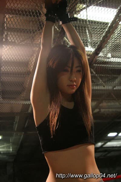Sample 11