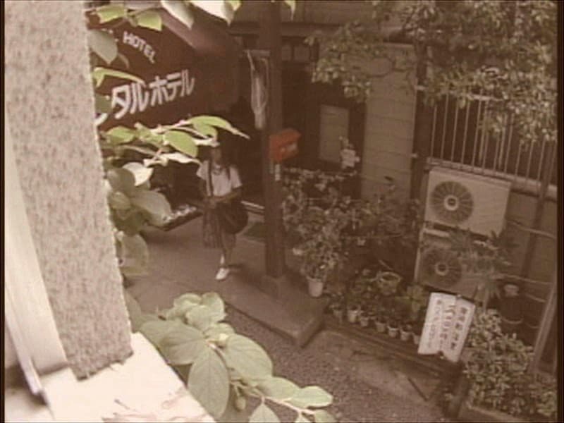 Sample 10