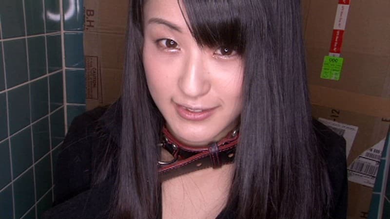 Sample 12