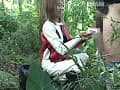 Sample 34