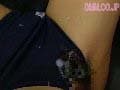 Sample 28
