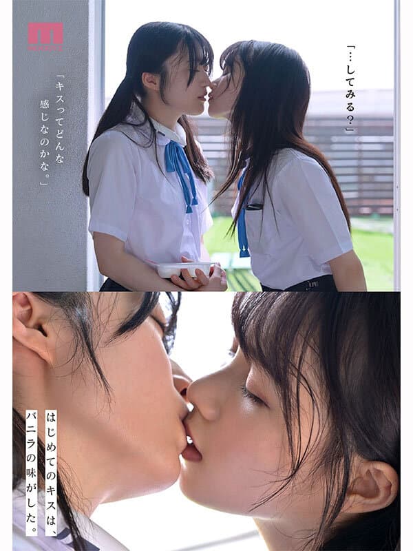 Sample 4