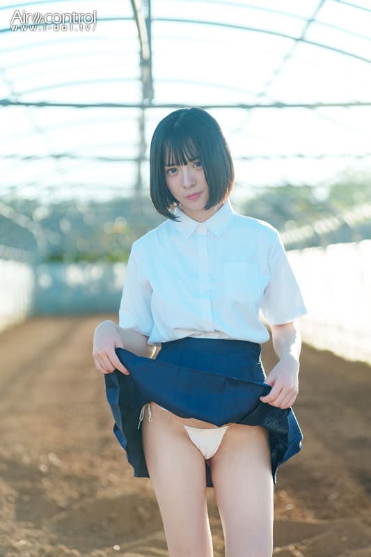 Sample 2