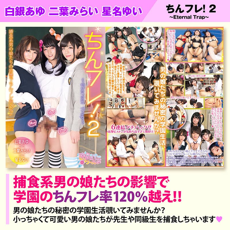 Sample 12